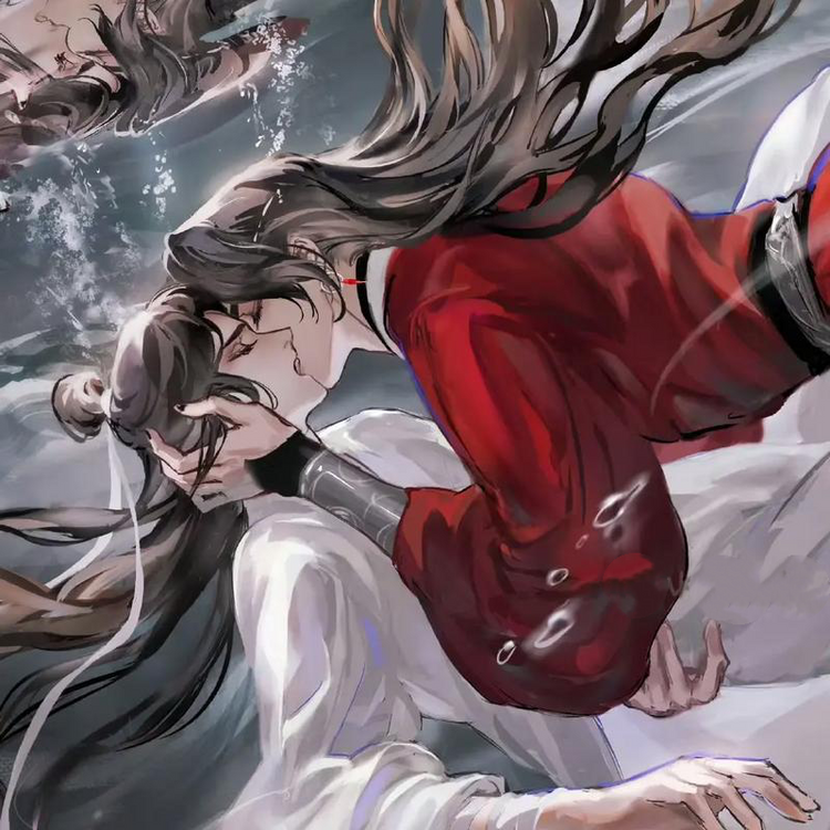 Danmei-tgcf/mdzs/vsvv/erha/qjj